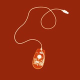 X-ray of Computer Mouse Photographic Print by David Arky
