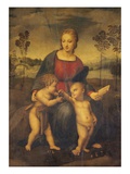 Madonna of the Goldfinch reproduction procédé giclée par Raphael 