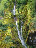 Waterfall on Moss-Covered Cliff Lámina fotográfica por Theo Allofs Waterfall on Moss-Covered Cliff Lámina fotográfica por Theo Allofs