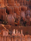 Queen's Garden Hoodoos Photographie par David Muench