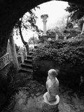 Garden and Patio Photographic Print by John & Lisa Merrill