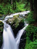 Waterfall and Lush Foliage Fotografisk trykk av Matt Brown Waterfall and Lush Foliage Fotografisk trykk av Matt Brown