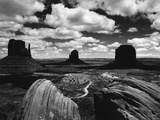 Desert Mesas Photographic Print by Brett Weston