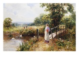 Gathering Poppies Near Winchester, England Giclee Print by Ernest Walbourn