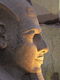 Illuminated Ramses II Head Valokuvavedos tekijänä Mike McQueen