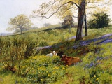 Near Dorking, Surrey, England Giclee Print by Charles Collins II