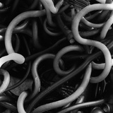 Algues / Varech Photographie par Brett Weston