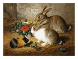 Goda vänner Gicleetryck av Alfred Barber