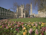Gardens on East Side of Bath Abbey Photographic Print by Jonathan Hicks
