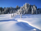 Wolf Creek Pass in Winter Photographic Print by Marc Muench