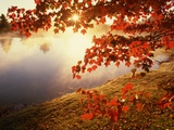Sunrise Through Autumn Leaves Photographic Print by Joseph Sohm