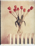 Vase of Tulips on a Radiator Photographic Print by Natalie Fobes