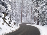 Winter Road in Yosemite National Park Photographic Print by Darrell Gulin