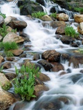 Alpine Cascade Photographie par David Muench