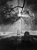 Cemetery at Night Photographic Print by Brian Cencula