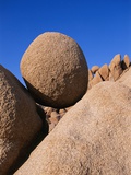 Rock Formation at Jumbo Rocks Campground Photographic Print by Ralph Clevenger