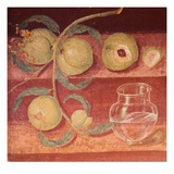 Fresco of Water Pot and Fruit in Pompeii Kitchen Lámina giclée por Gustavo Tomsich Fresco of Water Pot and Fruit in Pompeii Kitchen Lámina giclée por Gustavo Tomsich
