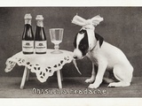 Oh! Such a Headache Photographic Print