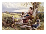 Spring Flowers Giclee Print by Myles Birket Foster