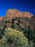 Canyons of Zion National Park Photographic Print by Frank Burek