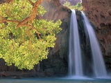Havasu Falls Photographic Print by Ron Watts