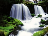Gifford Pinchot National Forest - Washington Photographie par Craig Tuttle