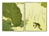 Illustration from A Picture Book of Selected Insects Reproduction procédé giclée par Utamaro 