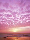 Pink Sunset Over Heceta Beach Photographie par Craig Tuttle