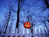 Lit Jack o'-Lantern Perched on Picket Fence Photographic Print by Ralph Morsch