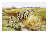 Full Cry! Giclee Print by Thomas Blinks