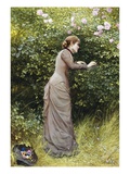 The Bird's Nest Giclee Print by Edward Killingworth Johnson