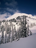 Mount Rainier Photographic Print by Charles Mauzy