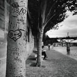 Graffiti on Tree Trunk Photographic Print by Ariel Ruiz I Altaba