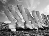Whale Bones in Antarctica Photographic Print by Chris Rainier