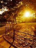 Sunrise in Central Park Photographic Print