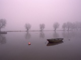 Mist Obsures Boat in The Rhine Photographic Print by Jim McDonald