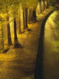 Trees Along the Seine River at Night Photographic Print by Keren Su