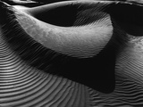 Dune Photographic Print by Brett Weston