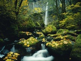 Stream and Waterfall in Autumn Photographic Print by Craig Tuttle