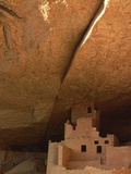 Cliff and Cliff Palace Fotografisk trykk av Tom Bean