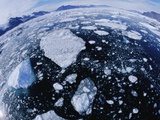 Ice in Nansen Fjord Photographic Print by Nevada Wier