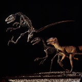 Skeleton and Model of Deinonychus Photographie par Louie Psihoyos