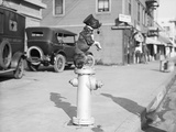 Dog Seated on Fire Hydrant Photographic Print by Bettmann 