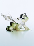 Thrill-seeking frog Photographic Print by Christopher C Collins