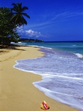 Conch Shell on Playa Grande Beach Photographic Print by Danny Lehman