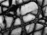 Seaside Rocks Fotografie-Druck von Brett Weston