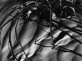 Branches in Sand Fotografie-Druck von Brett Weston