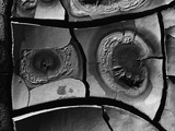 Dry Mud Fotografie-Druck von Brett Weston