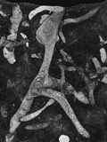 Rock Forms, 1966 Photographic Print by Brett Weston