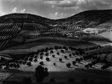 Brett Weston - Guatemala Landscape, 1968 Fotografická reprodukce